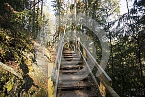 Abstract photo of wooden path in forest. Sunny Autumn Day