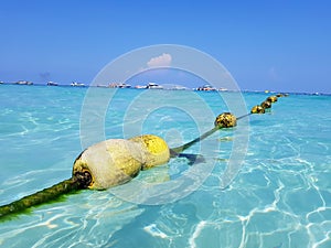 Abstract photo of Yellow buoys on a rope in the sea. Fencing fo