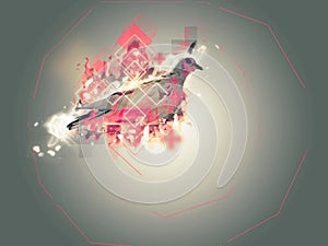 Abstract pigeon illustration