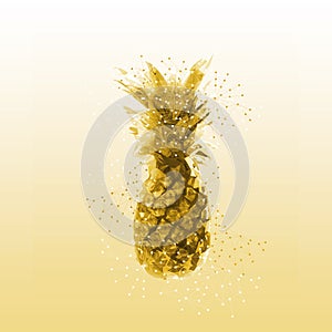 Abstract Pineapple Illustration
