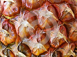 Abstract pineapple skin background texture.Cropped macro shot of tropical fruit peel close up.