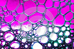 Abstract pink bubble background