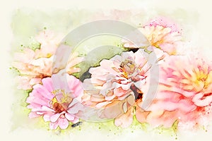 Abstract pink colorful shape on flower blooming watercolor illustration painting.