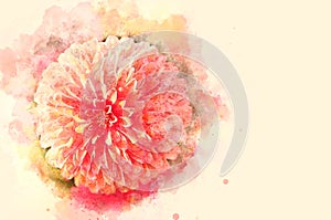 Abstract pink colorful shape on flower blooming watercolor illustration painting.