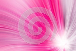 Abstract pink curves background