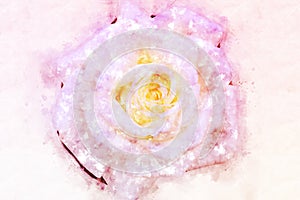 Abstract pink flower blooming on colorful watercolor painting background and Digital illustration brush to art.