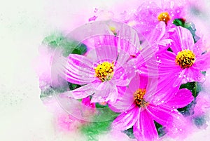 Abstract flower blooming on colorful watercolor painting background.