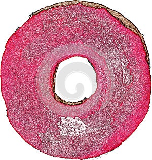 Abstract pink icing Donut illustration