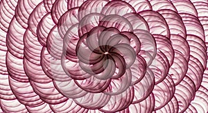 Abstract Pink Onion Slice Pattern