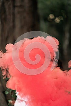 abstract pink powder splatter background,Freeze motion of color powder exploding,throwing color powder,color glitter texture . Red