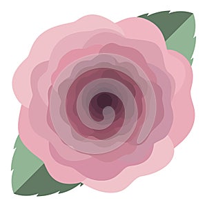 Abstract pink rose flower