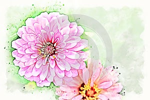 Abstract pink shape colorful flower blooming watercolor illustration painting