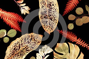 Abstract plant tropical leaves background texture digital effect