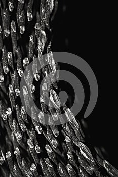 Abstract plastic net texture for black color background