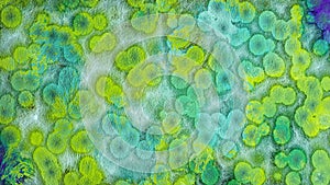 Abstract polka dot textured background in rich colors filled with texture details, spore plants, moss