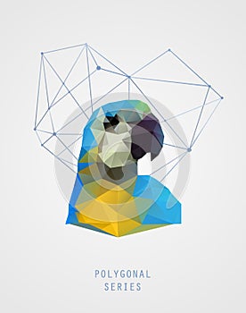 Abstract polygonal bird