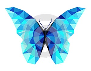 Abstract polygonal butterfly low poly vector