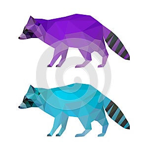 Abstract polygonal geometric triangle bright purple and blue colored raccoon set isolated on white background for use in design