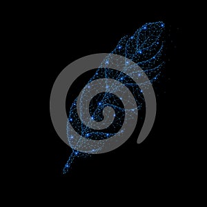 Abstract polygonal light of closeup bird feather