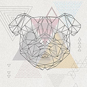 Abstract polygonal tirangle animal pug-dog. Hipster animal