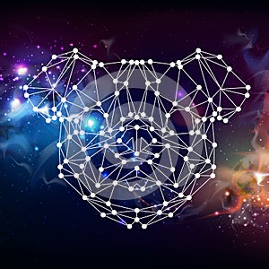 Abstract polygonal tirangle animal pug-dog on open space background.