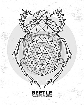 Abstract polygonal triangle Scarabaeus beetle. Artistic Bug. Entomological  illustration