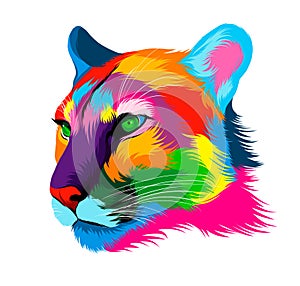 Abstract puma, cougar head portrait from multicolored paints. Colored drawing