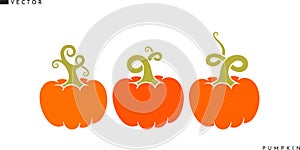 Abstract pumpkin. Isolated vegetables on white background