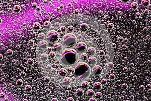 Abstract purple background with water bubbles. Macro shot of air or molecule. Cell, membrane texture background.