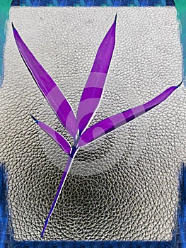 Abstract purple bamboo leaves photographed and treated by mobile phone