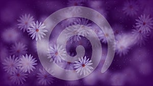 Abstract Purple Blurry Sharp Blooming White Water Lily Lotus Flowers With Glitter Sparkles Dust