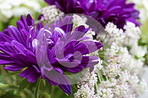 Abstract Purple Chrysanthemums in a floral arrangement