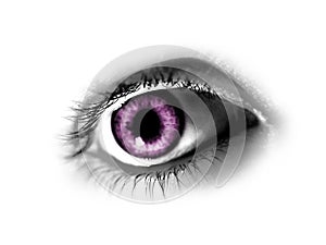 Abstract Purple Eye