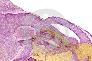 Abstract purple stains on white background. Violet and gold watercolor ink pattern. Copyspace.