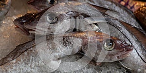 Abstract Raw Fish Food Scene on a Market Stall