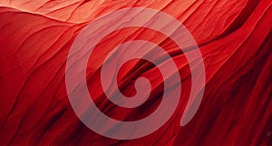 Abstract red background with wave, stone plaster, texture