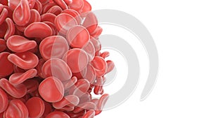 Abstract red blood cells clot isolated on white background. Scientific and medical microbiological concept. Transfer of