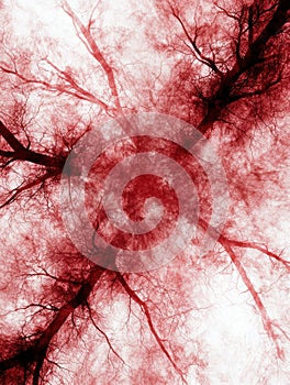 abstract red branching pattern