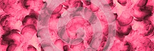 Abstract red pink background. Watercolor pattern. Curls circle sphere on pink background. Wide banner with copy space. Colorful a
