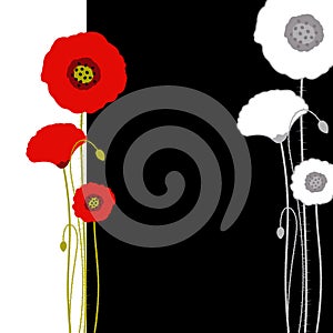 Abstract red poppy on black and white background