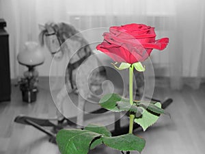 Abstract red rose background