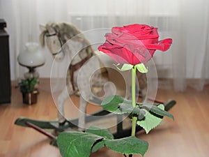 Abstract red rose background