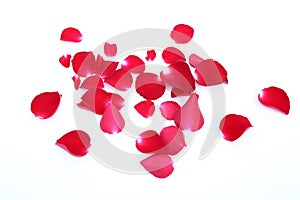 Abstract of red rose petals isolated on a white background