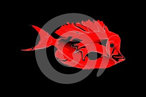 Abstract red, white and black fish Background. Vector Illustration photo