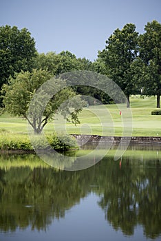 Abstract Reflection in Golf Course Water Hazard