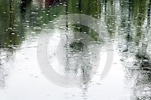 Abstract reflection tree in puddle on pavement