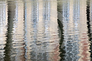 Abstract reflection of trees in water