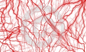 Abstract representation of red blood vessels