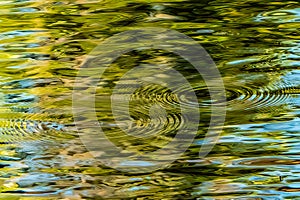 Abstract: Rippled Reflection of Sky and Trees