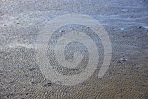 Abstract rippled wet sand background
